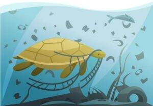 اثر تغییر اقلیم بر لاک پشت های دریایی